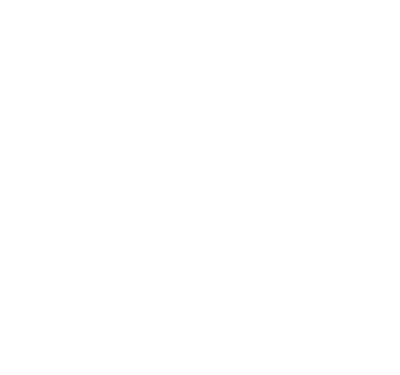 Wlthe Coin Gem